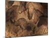 Stone-age Cave Paintings, Chauvet, France-Javier Trueba-Mounted Photographic Print