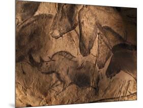 Stone-age Cave Paintings, Chauvet, France-Javier Trueba-Mounted Photographic Print