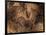 Stone-age Cave Paintings, Chauvet, France-Javier Trueba-Framed Photographic Print