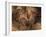 Stone-age Cave Paintings, Chauvet, France-Javier Trueba-Framed Photographic Print