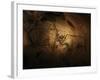 Stone-age Cave Paintings, Chauvet, France-Javier Trueba-Framed Photographic Print