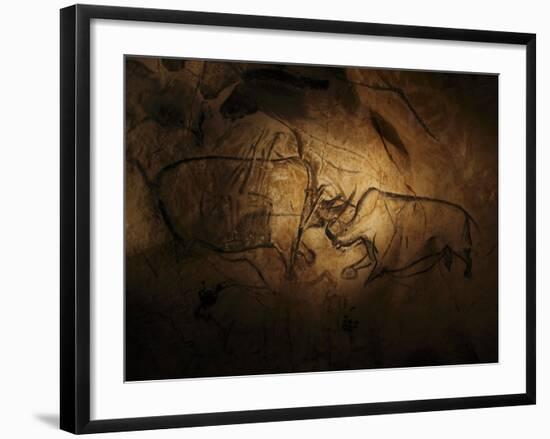 Stone-age Cave Paintings, Chauvet, France-Javier Trueba-Framed Photographic Print