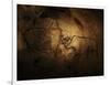 Stone-age Cave Paintings, Chauvet, France-Javier Trueba-Framed Photographic Print