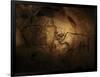 Stone-age Cave Paintings, Chauvet, France-Javier Trueba-Framed Photographic Print