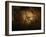 Stone-age Cave Paintings, Chauvet, France-Javier Trueba-Framed Photographic Print