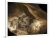 Stone-age Cave Paintings, Chauvet, France-Javier Trueba-Framed Photographic Print