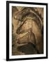 Stone-age Cave Paintings, Chauvet, France-Javier Trueba-Framed Photographic Print