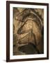 Stone-age Cave Paintings, Chauvet, France-Javier Trueba-Framed Photographic Print