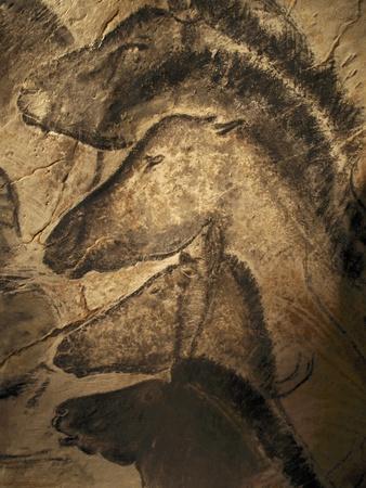 https://imgc.allpostersimages.com/img/posters/stone-age-cave-paintings-chauvet-france_u-L-PZK5040.jpg?artPerspective=n