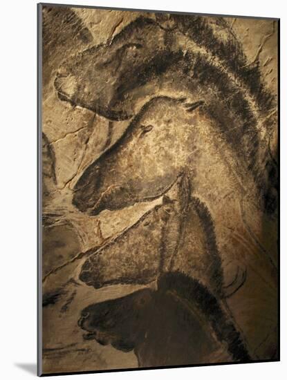 Stone-age Cave Paintings, Chauvet, France-Javier Trueba-Mounted Photographic Print