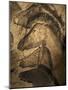 Stone-age Cave Paintings, Chauvet, France-Javier Trueba-Mounted Photographic Print