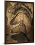 Stone-age Cave Paintings, Chauvet, France-Javier Trueba-Framed Photographic Print