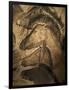 Stone-age Cave Paintings, Chauvet, France-Javier Trueba-Framed Photographic Print