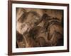 Stone-age Cave Paintings, Chauvet, France-Javier Trueba-Framed Photographic Print