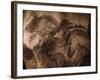 Stone-age Cave Paintings, Chauvet, France-Javier Trueba-Framed Photographic Print