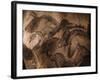 Stone-age Cave Paintings, Chauvet, France-Javier Trueba-Framed Photographic Print