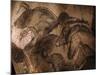 Stone-age Cave Paintings, Chauvet, France-Javier Trueba-Mounted Photographic Print