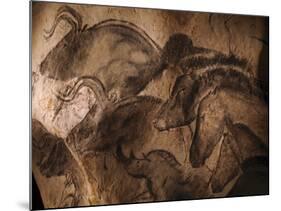 Stone-age Cave Paintings, Chauvet, France-Javier Trueba-Mounted Photographic Print