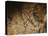 Stone-age Cave Paintings, Lascaux, France-Javier Trueba-Stretched Canvas