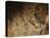 Stone-age Cave Paintings, Lascaux, France-Javier Trueba-Stretched Canvas