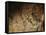 Stone-age Cave Paintings, Lascaux, France-Javier Trueba-Framed Stretched Canvas