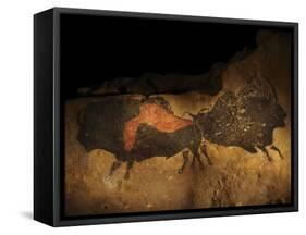 Stone-age Cave Paintings, Lascaux, France-Javier Trueba-Framed Stretched Canvas