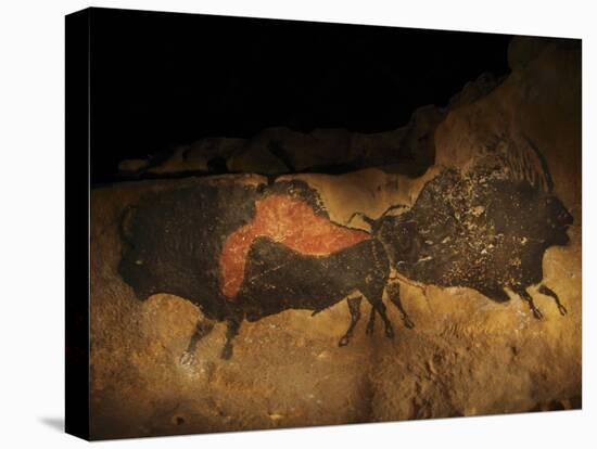 Stone-age Cave Paintings, Lascaux, France-Javier Trueba-Stretched Canvas