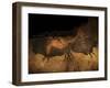 Stone-age Cave Paintings, Lascaux, France-Javier Trueba-Framed Premium Photographic Print