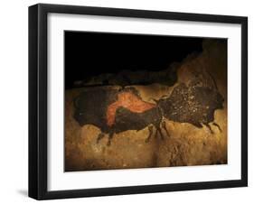 Stone-age Cave Paintings, Lascaux, France-Javier Trueba-Framed Premium Photographic Print