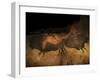 Stone-age Cave Paintings, Lascaux, France-Javier Trueba-Framed Premium Photographic Print