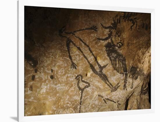 Stone-age Cave Paintings, Lascaux, France-Javier Trueba-Framed Photographic Print