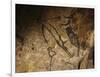 Stone-age Cave Paintings, Lascaux, France-Javier Trueba-Framed Photographic Print