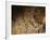 Stone-age Cave Paintings, Lascaux, France-Javier Trueba-Framed Photographic Print