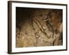 Stone-age Cave Paintings, Lascaux, France-Javier Trueba-Framed Photographic Print