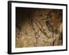 Stone-age Cave Paintings, Lascaux, France-Javier Trueba-Framed Photographic Print