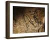 Stone-age Cave Paintings, Lascaux, France-Javier Trueba-Framed Photographic Print