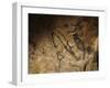 Stone-age Cave Paintings, Lascaux, France-Javier Trueba-Framed Photographic Print