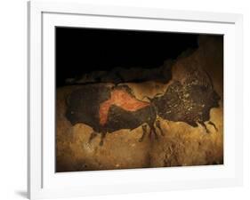 Stone-age Cave Paintings, Lascaux, France-Javier Trueba-Framed Photographic Print