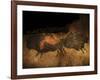 Stone-age Cave Paintings, Lascaux, France-Javier Trueba-Framed Photographic Print