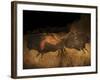 Stone-age Cave Paintings, Lascaux, France-Javier Trueba-Framed Photographic Print