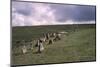 Stone Alignment on Shovel Down, 3rd-2nd millenium BC. Devon, Dartmoor, 20th century-CM Dixon-Mounted Photographic Print