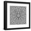 Stone Arabesque in Gray Tones-null-Framed Art Print