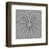 Stone Arabesque in Gray Tones-null-Framed Art Print