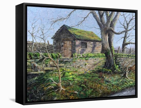 Stone Barn, Alport, Derbyshire, 2009-Trevor Neal-Framed Stretched Canvas