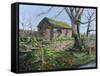 Stone Barn, Alport, Derbyshire, 2009-Trevor Neal-Framed Stretched Canvas