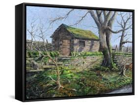 Stone Barn, Alport, Derbyshire, 2009-Trevor Neal-Framed Stretched Canvas