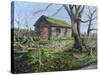 Stone Barn, Alport, Derbyshire, 2009-Trevor Neal-Stretched Canvas