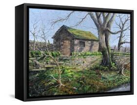 Stone Barn, Alport, Derbyshire, 2009-Trevor Neal-Framed Stretched Canvas