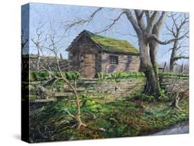 Stone Barn, Alport, Derbyshire, 2009-Trevor Neal-Stretched Canvas