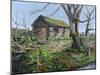 Stone Barn, Alport, Derbyshire, 2009-Trevor Neal-Mounted Giclee Print